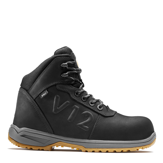 V2145 Lynx IGS